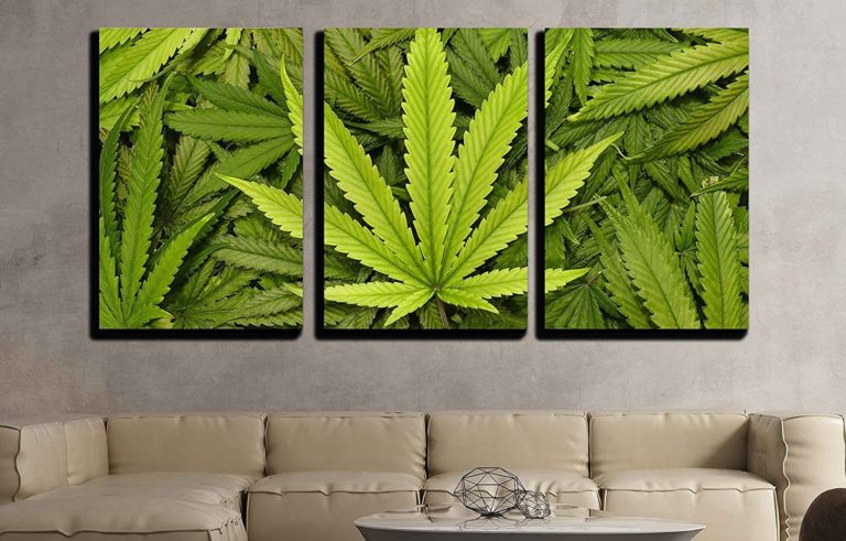 Marijuana Leaf Canvas Wall Art